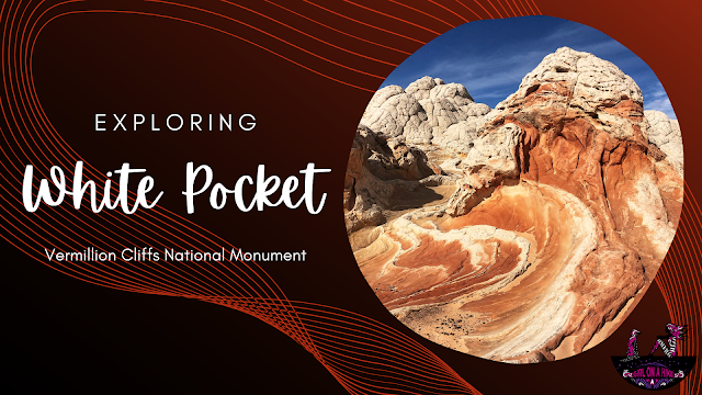 Exploring White Pocket, Vermillion Cliffs National Monument