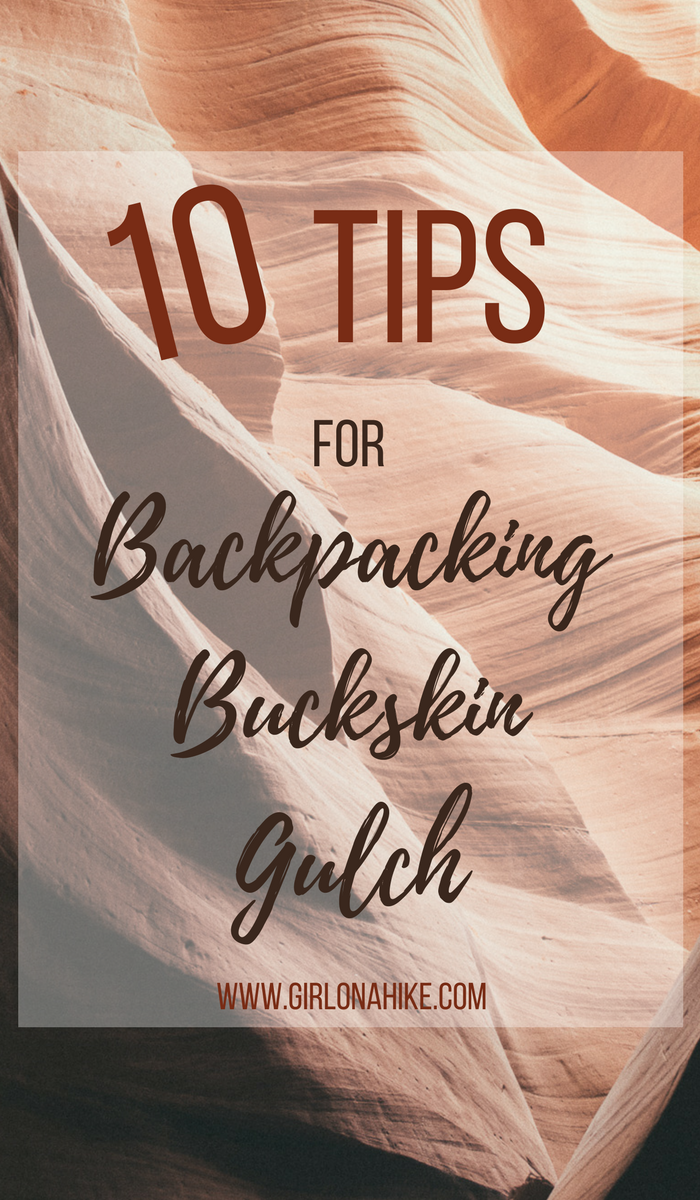 10 Tips for Backpacking Buckskin Gulch, Backpacking Buckskin Gulch with Dogs