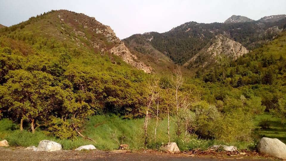 Hiking Neff's Canyon to the Ridge