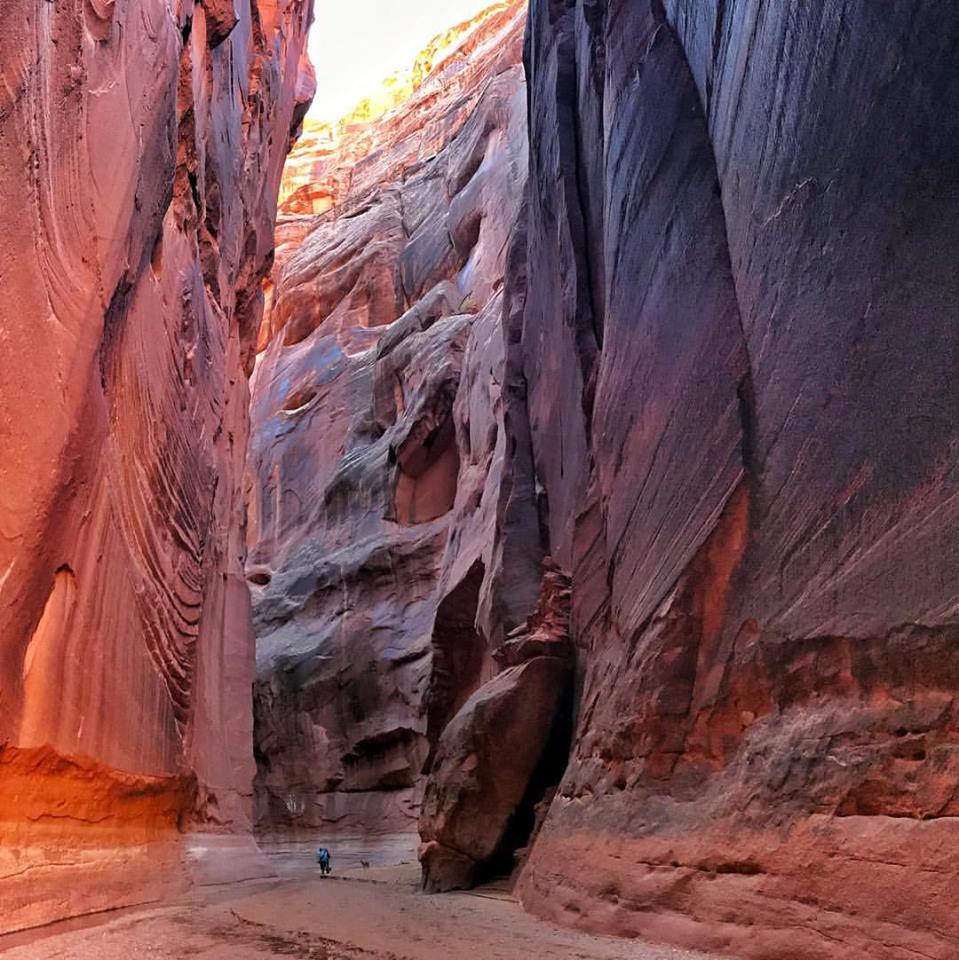 10 Tips for Backpacking Buckskin Gulch, Backpacking Buckskin Gulch with Dogs