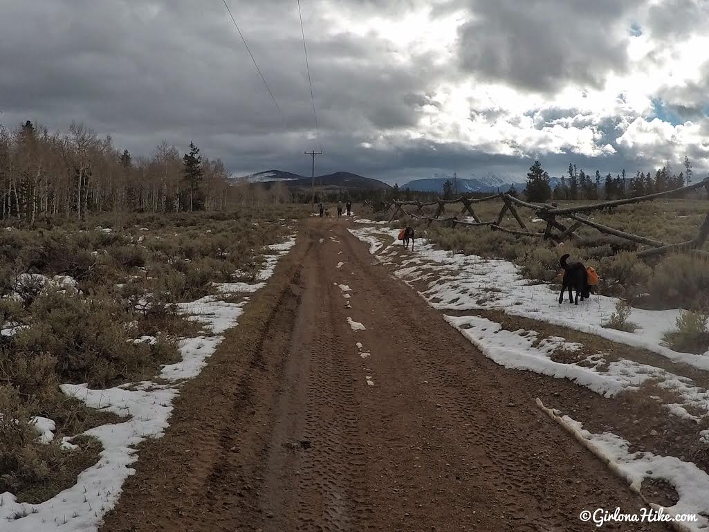 Lily Lake Yurt Trip, Camping in a yurt, Yurts of Utah, Yurts in the Uintas, Uinta Yurts, Yurts with Dogs, Yurts with Kids