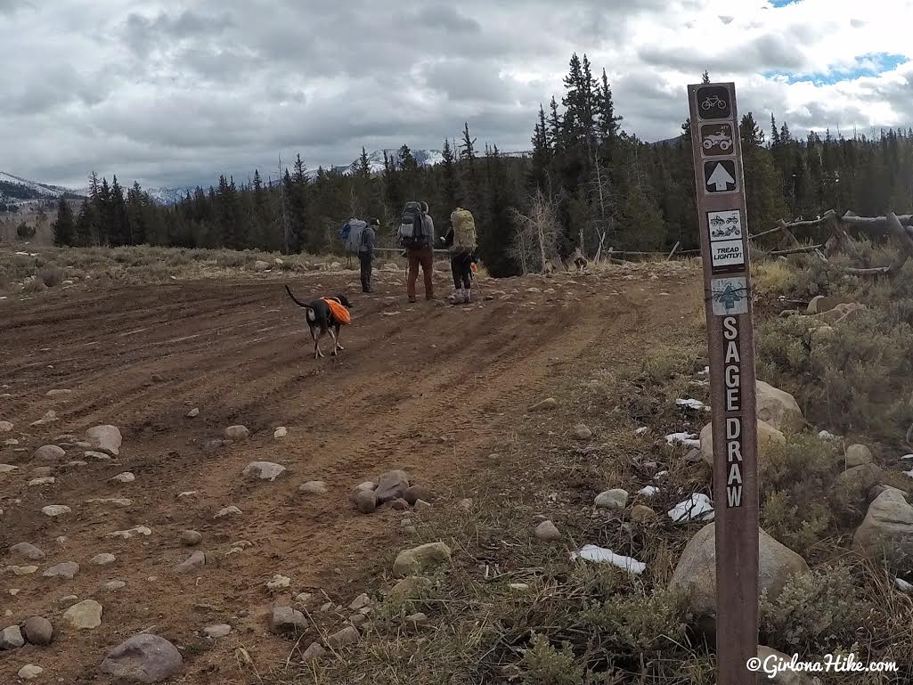 Lily lake outlet yurt