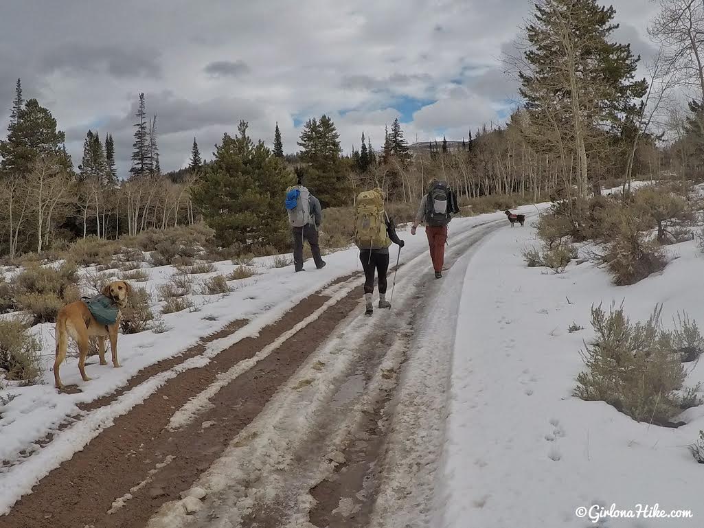 Lily Lake Yurt Trip, Camping in a yurt, Yurts of Utah, Yurts in the Uintas, Uinta Yurts, Yurts with Dogs, Yurts with Kids