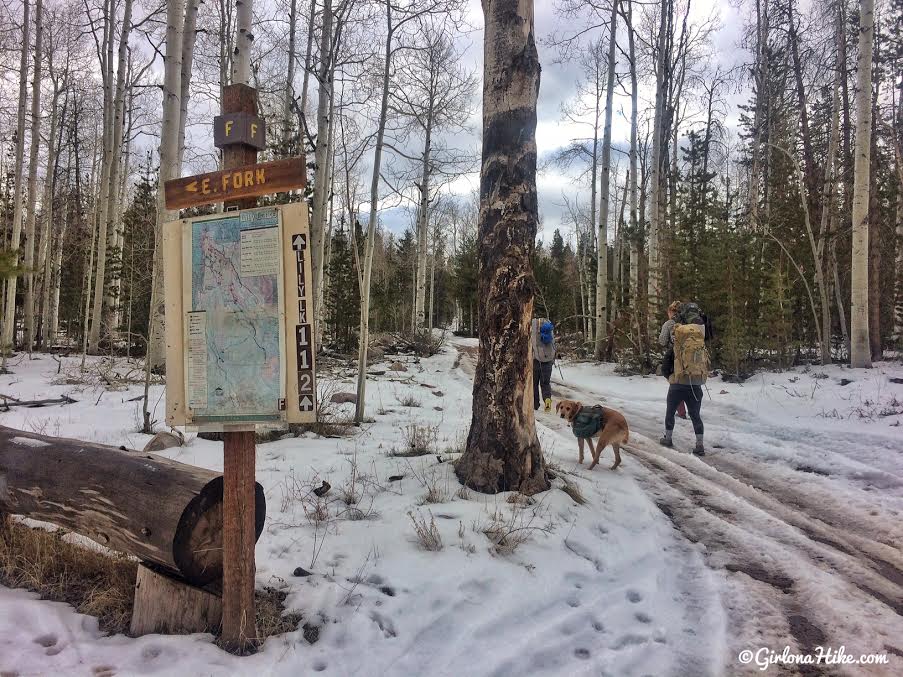 Lily Lake Yurt Trip, Camping in a yurt, Yurts of Utah, Yurts in the Uintas, Uinta Yurts, Yurts with Dogs, Yurts with Kids