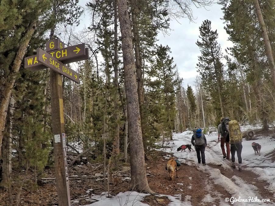 Lily Lake Yurt Trip, Camping in a yurt, Yurts of Utah, Yurts in the Uintas, Uinta Yurts, Yurts with Dogs, Yurts with Kids