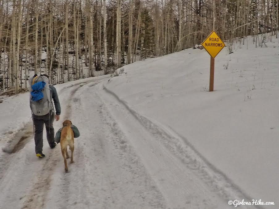 Lily Lake Yurt Trip, Camping in a yurt, Yurts of Utah, Yurts in the Uintas, Uinta Yurts, Yurts with Dogs, Yurts with Kids