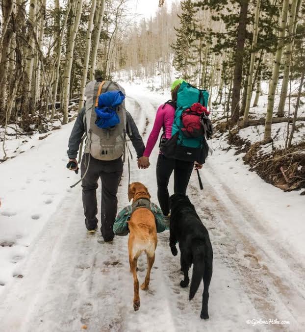 Lily Lake Yurt Trip, Camping in a yurt, Yurts of Utah, Yurts in the Uintas, Uinta Yurts, Yurts with Dogs, Yurts with Kids