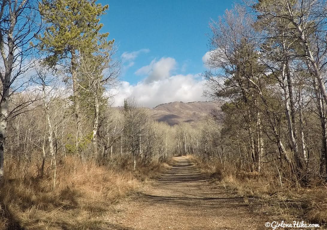 Hiking the Sardine Peak Loop, Snowbasin