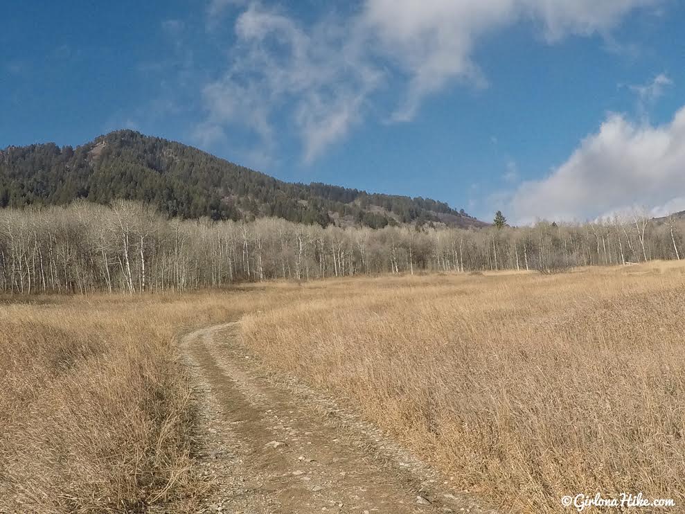 Hiking the Sardine Peak Loop, Snowbasin