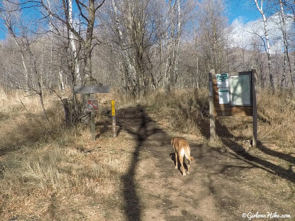 Hiking the Sardine Peak Loop, Snowbasin