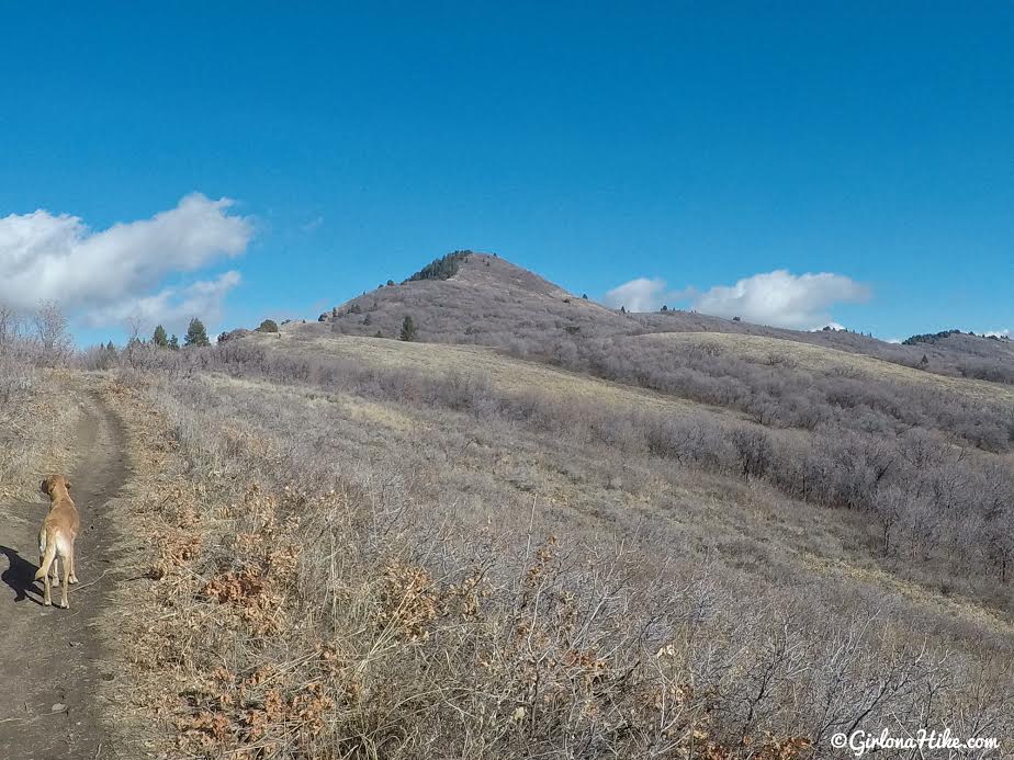 Hiking the Sardine Peak Loop, Snowbasin