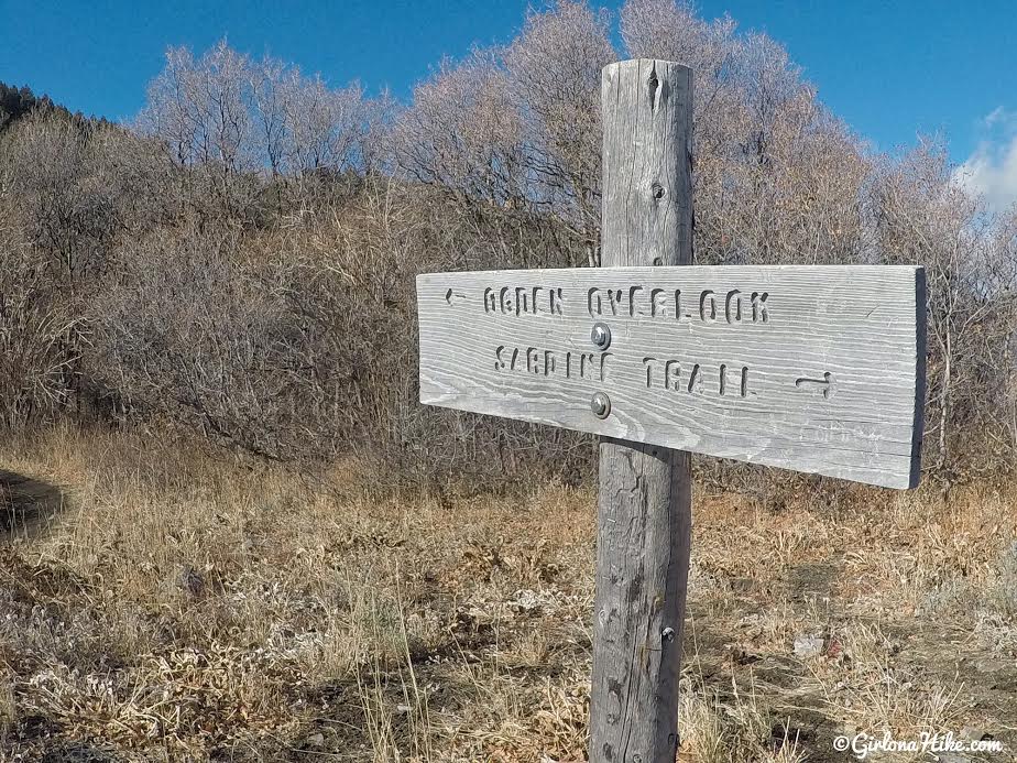 Hiking the Sardine Peak Loop, Snowbasin