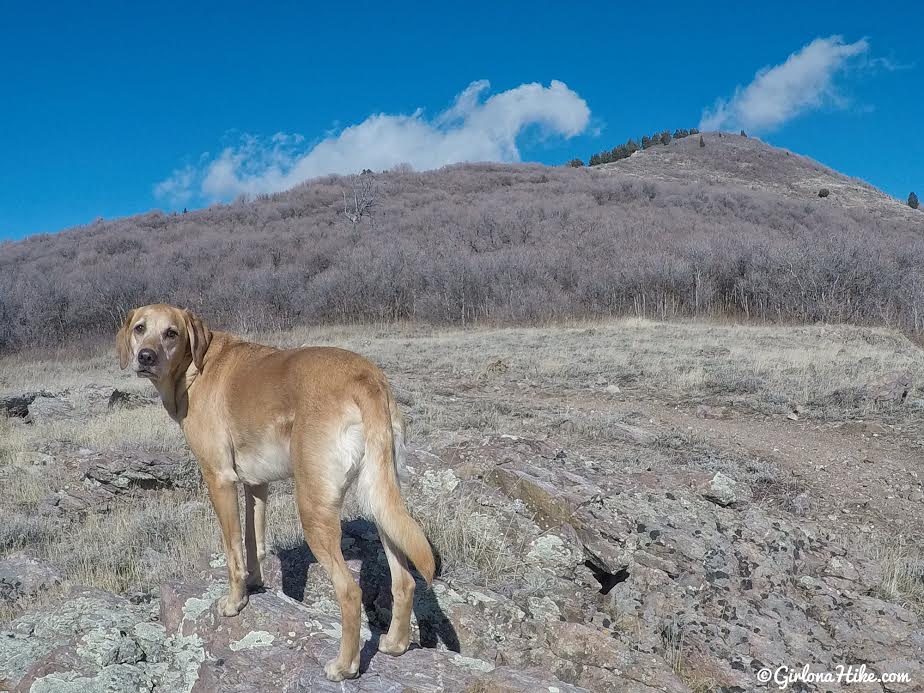 Hiking the Sardine Peak Loop, Snowbasin