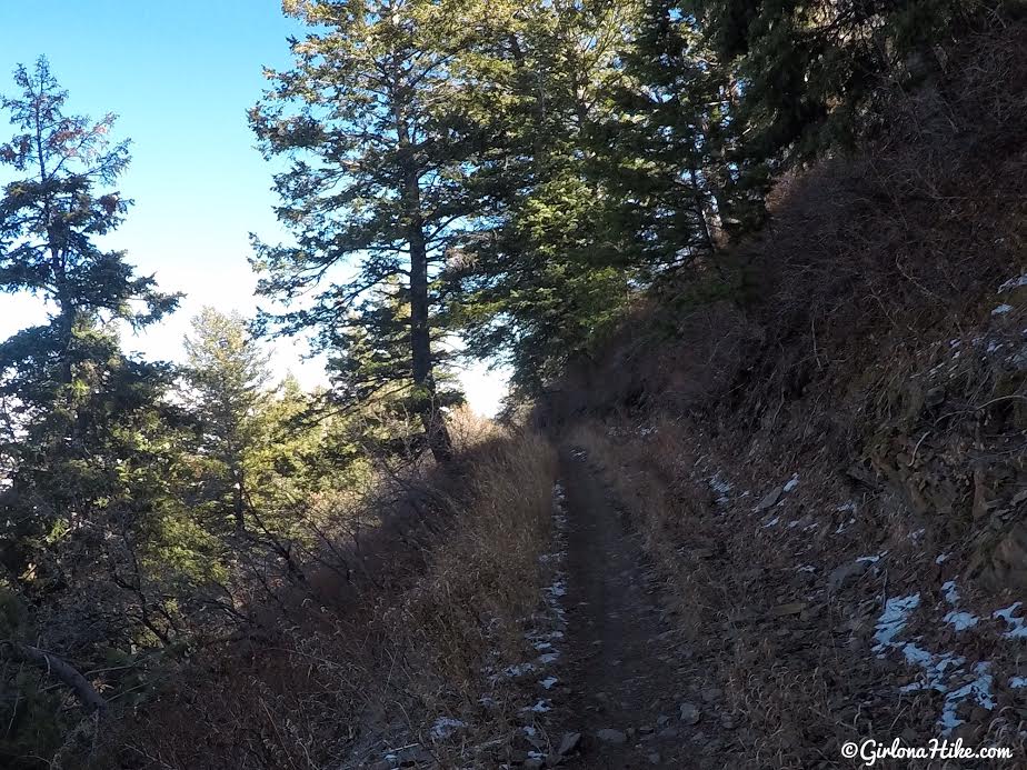 Hiking the Sardine Peak Loop, Snowbasin