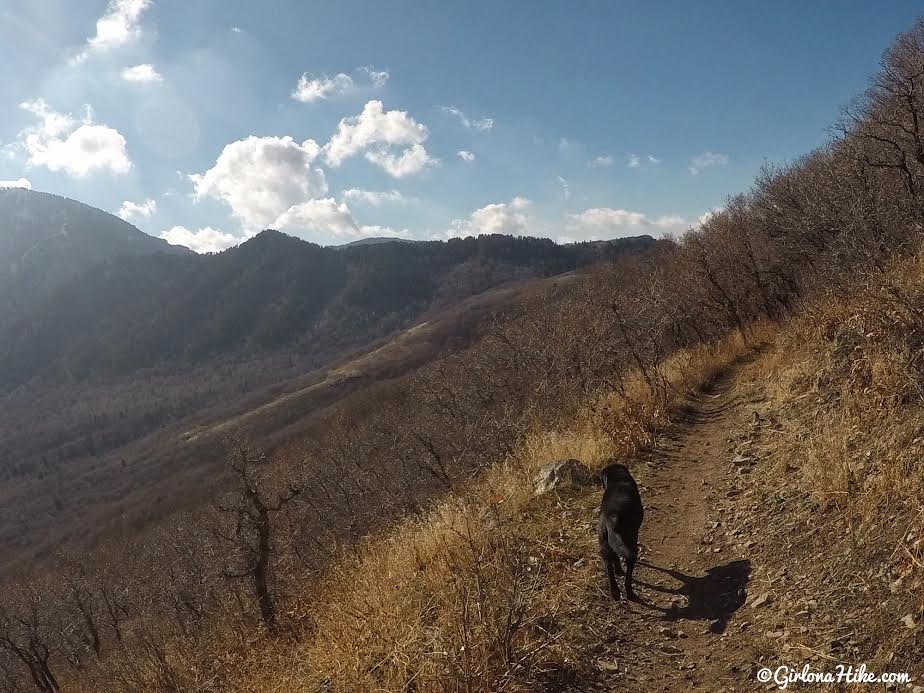 Hiking the Sardine Peak Loop, Snowbasin