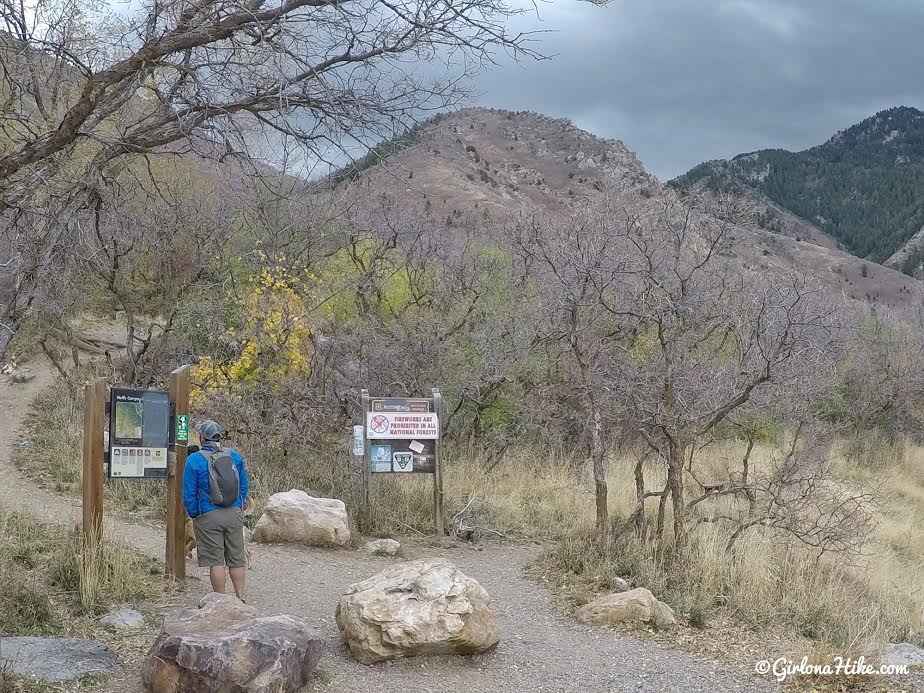 Hiking Neff's Canyon to the Ridge