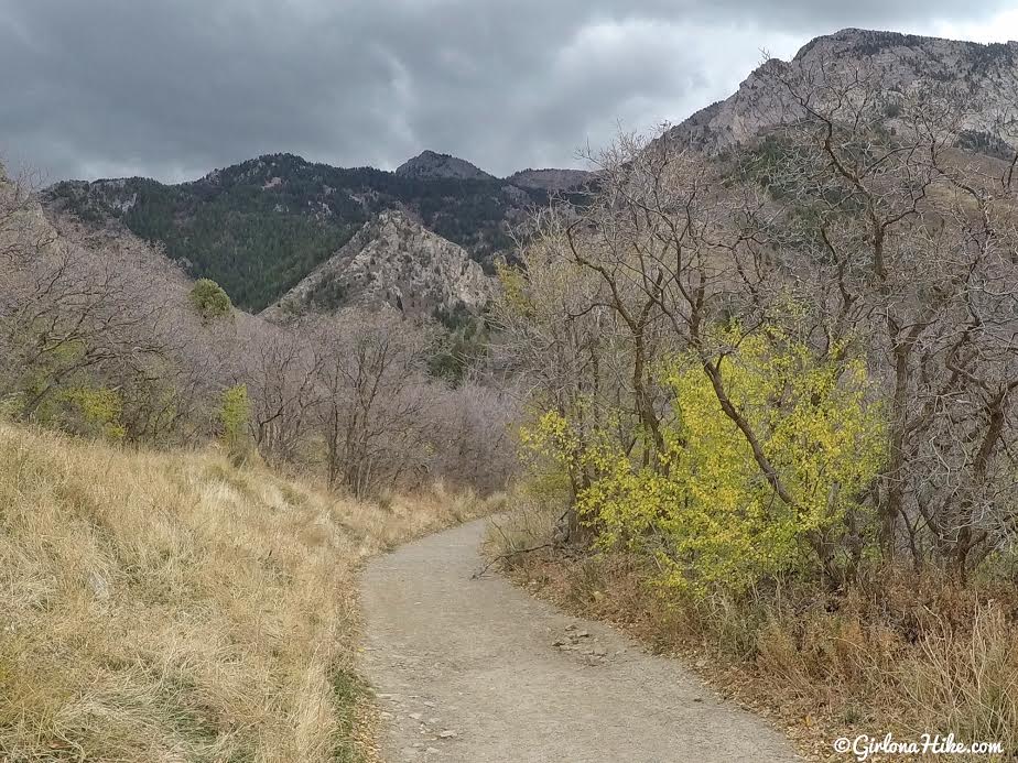 Hiking Neff's Canyon to the Ridge