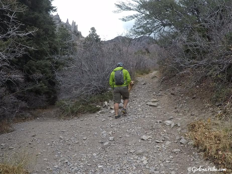 Hiking Neff's Canyon to the Ridge