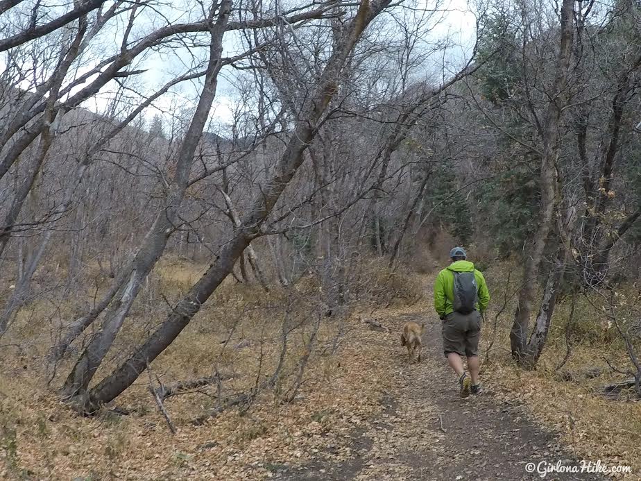 Hiking Neff's Canyon to the Ridge