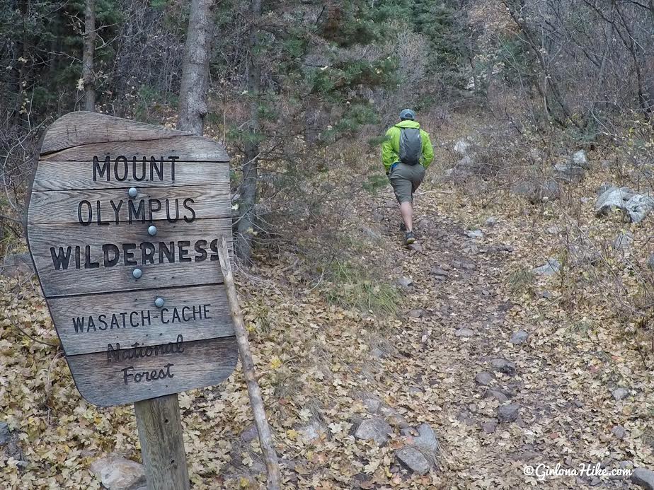 Hiking Neff's Canyon to the Ridge