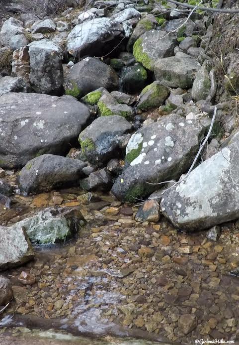 Hiking Neff's Canyon to the Ridge