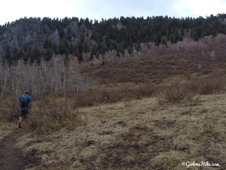 Hiking Neff's Canyon to the Ridge