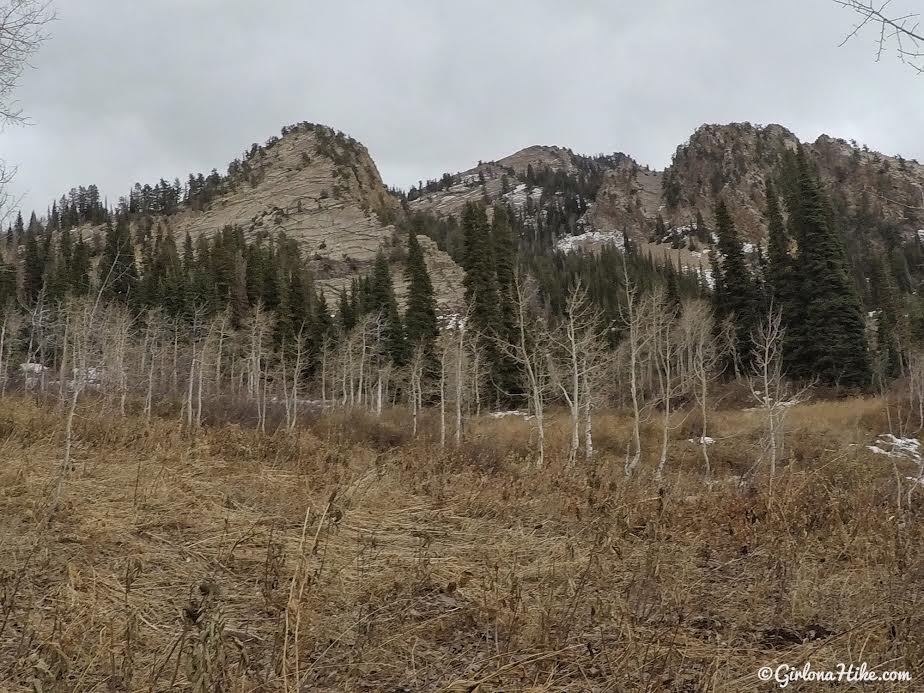 Hiking Neff's Canyon to the Ridge