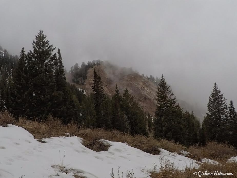 Hiking Neff's Canyon to the Ridge