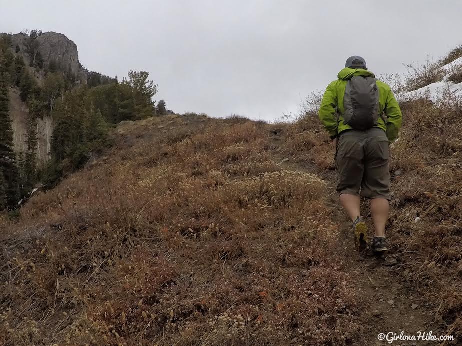 Hiking Neff's Canyon to the Ridge