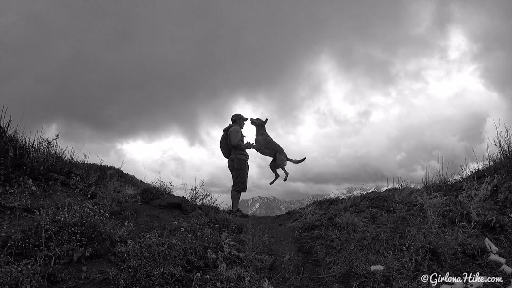 Hiking Neff's Canyon to the Ridge