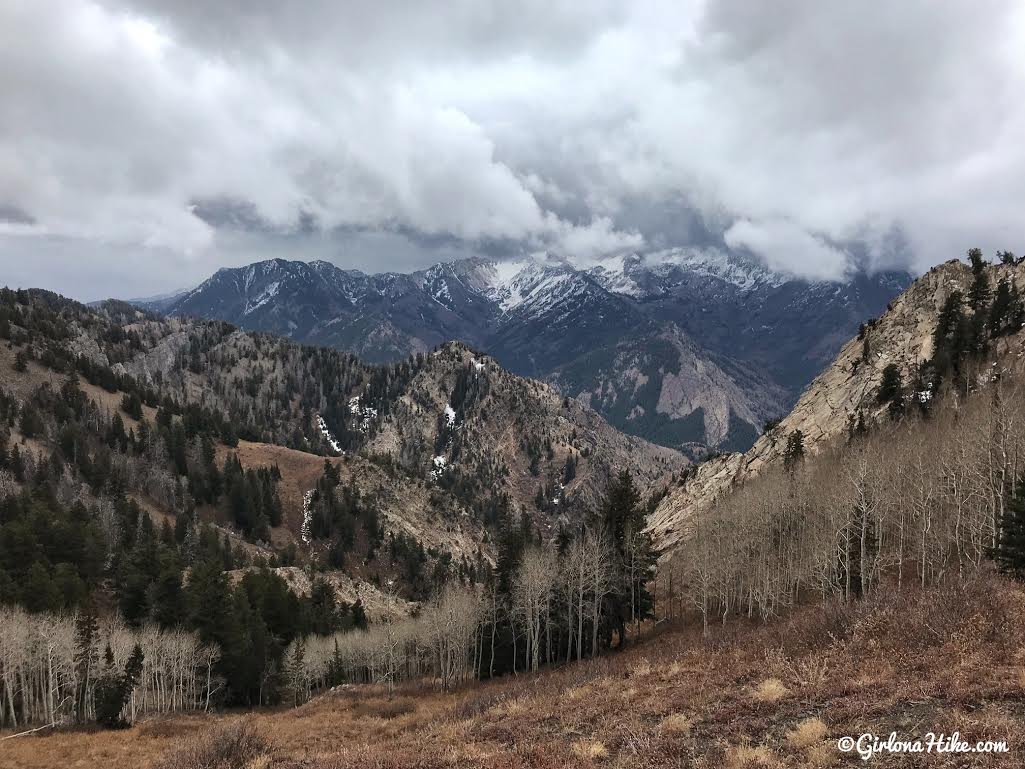 Hiking Neff's Canyon to the Ridge