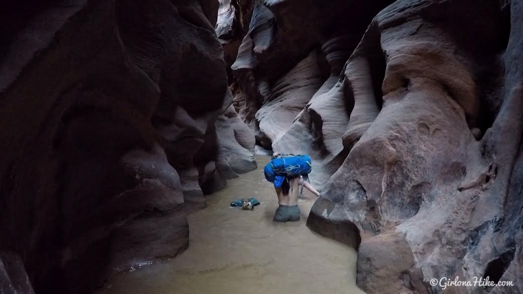 10 Tips for Backpacking Buckskin Gulch, Backpacking Buckskin Gulch with Dogs