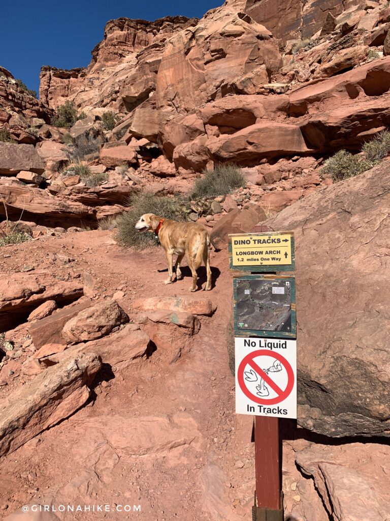 Hiking to Long Bow Arch, Moab