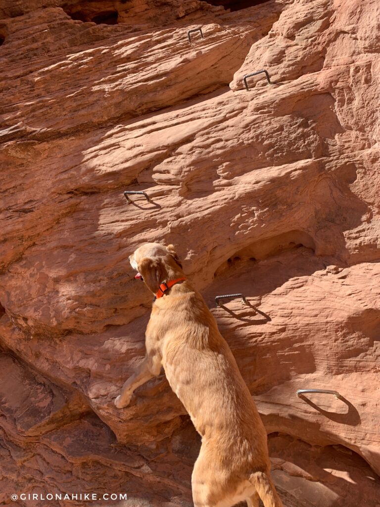 Hiking to Long Bow Arch, Moab