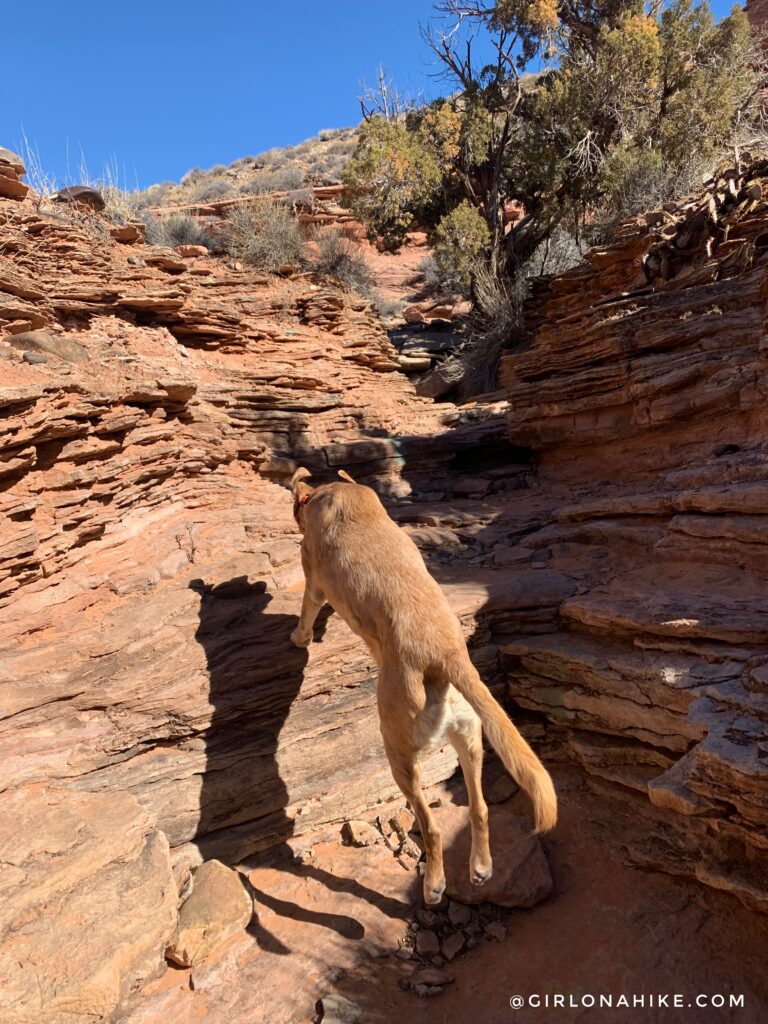 Hiking to Long Bow Arch, Moab