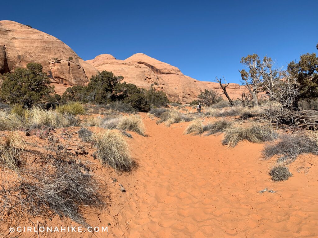 Hiking to Long Bow Arch, Moab