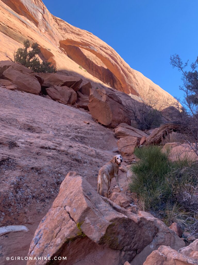 Hiking to Long Bow Arch, Moab