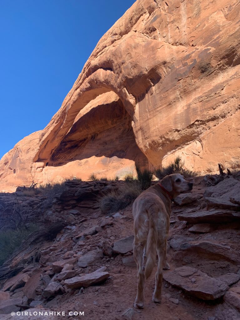 Hiking to Long Bow Arch, Moab