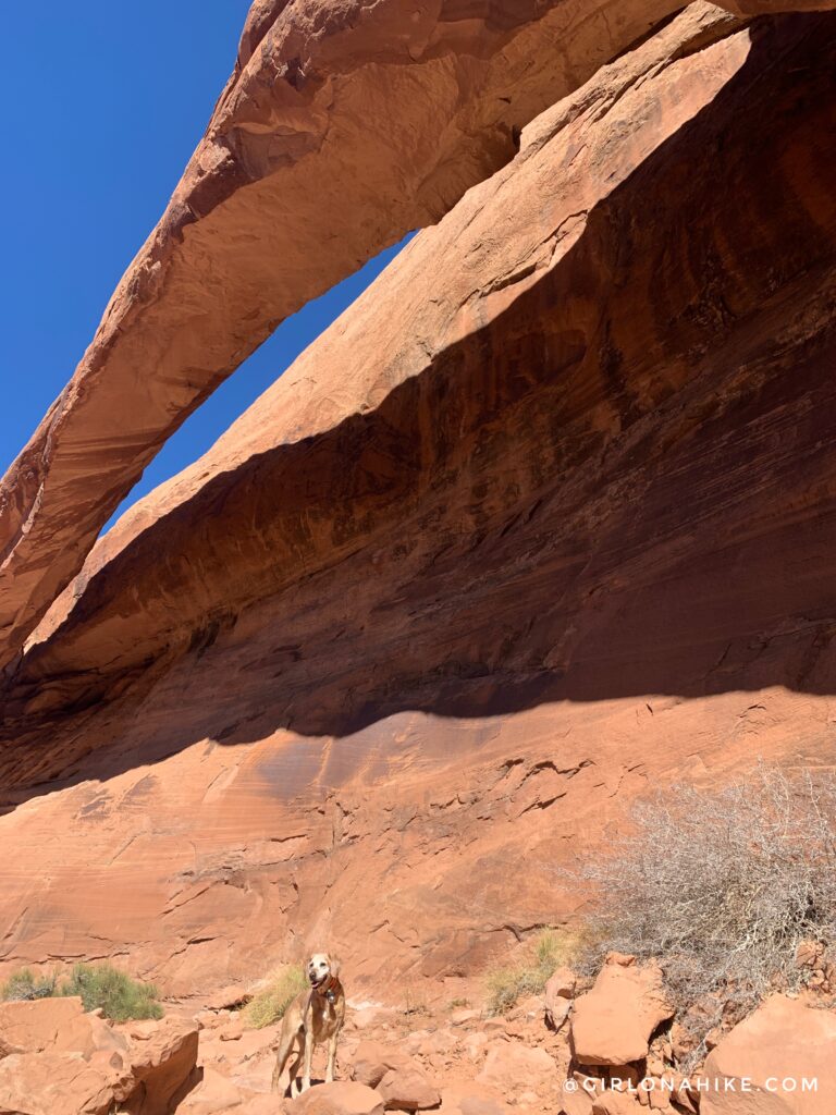 Hiking to Long Bow Arch, Moab