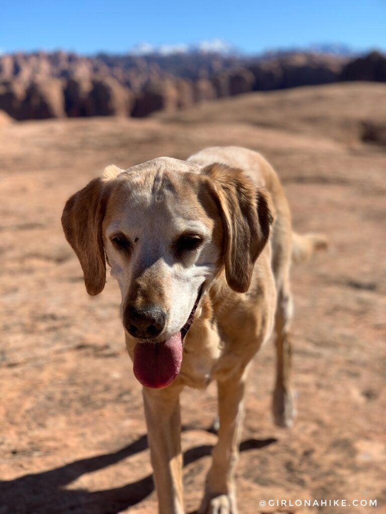 long bow arch, moab