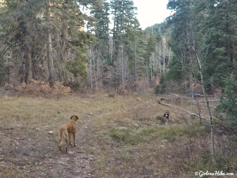 Hiking the Maple Canyon Arch Loop Trail