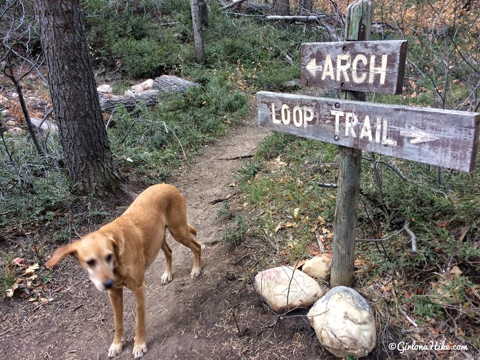 Hiking the Maple Canyon Arch Loop Trail