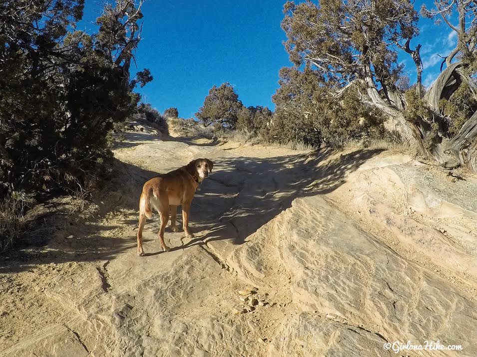 Hiking to Moonshine Arch, Vernal, Utah, Hiking in Utah with Dogs