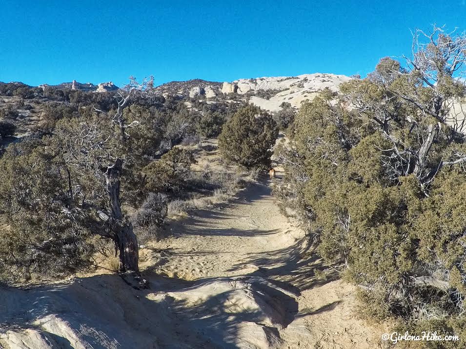 Hiking to Moonshine Arch, Vernal, Utah, Hiking in Utah with Dogs