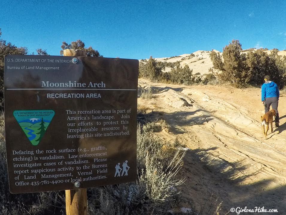 Hiking to Moonshine Arch, Vernal, Utah, Hiking in Utah with Dogs