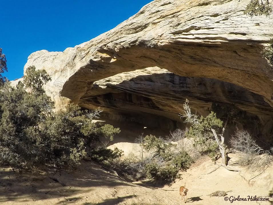 Hiking to Moonshine Arch, Vernal, Utah, Hiking in Utah with Dogs