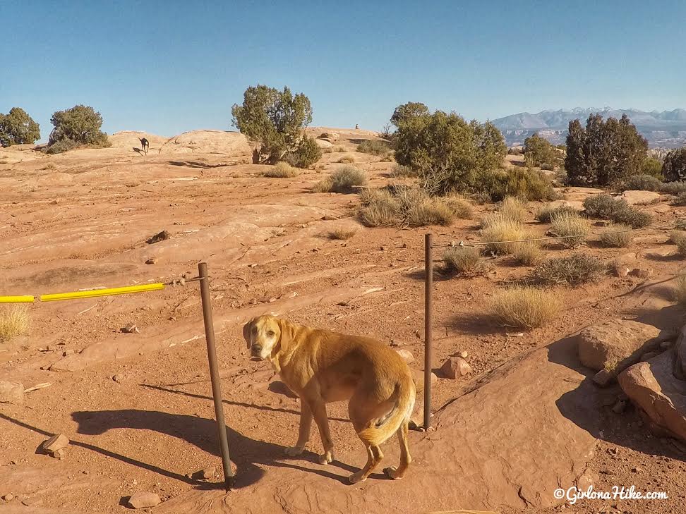 Hiking the Stair Master Trail, Moab, Hiking in Moab with Dogs