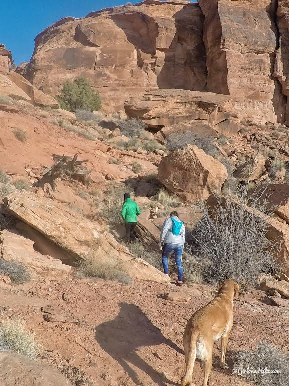 Hiking to Funnel Arch, Moab, Hiking in Moab with Dogs, Hiking in Utah with Dogs