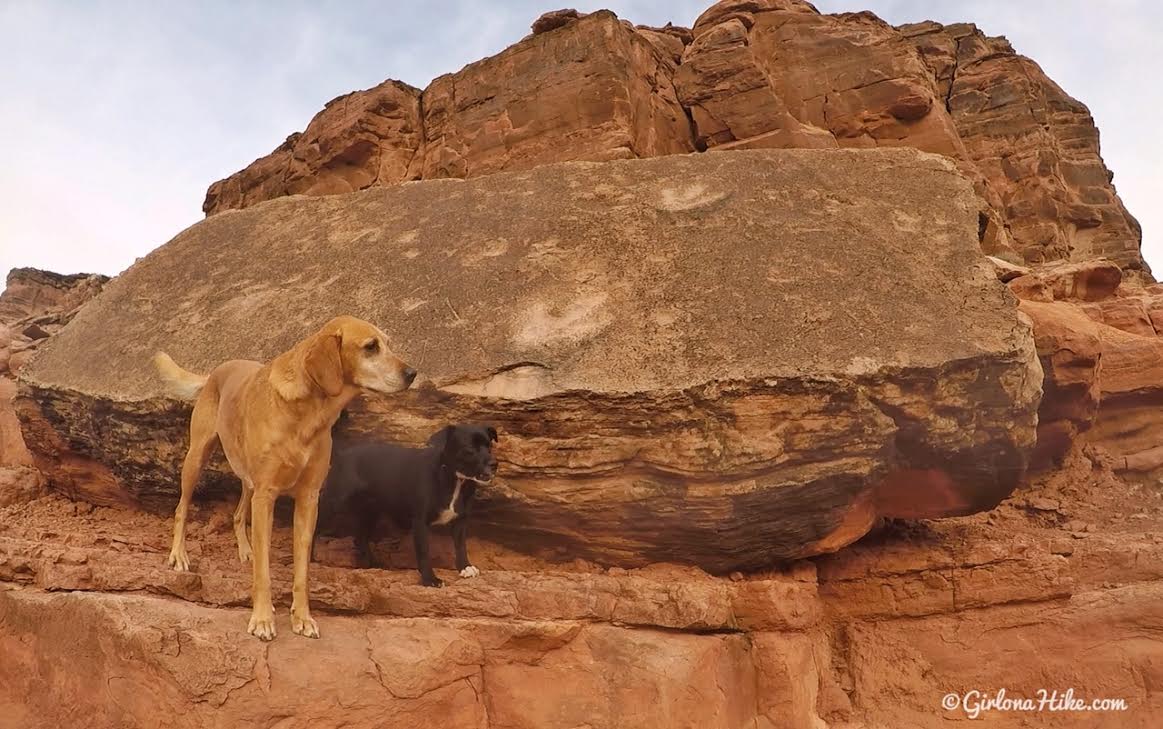 Hiking to Long Bow Arch, Moab