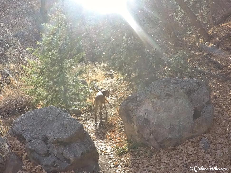 Hiking the Maple Canyon Arch Loop Trail